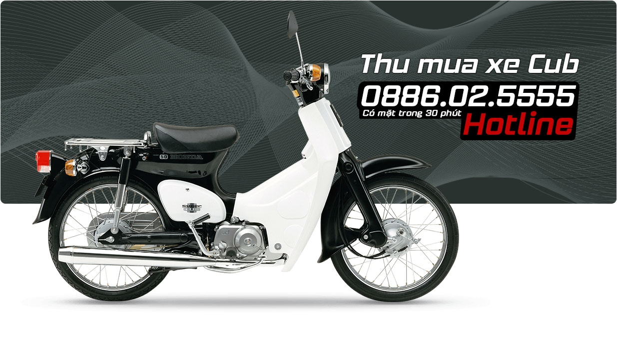 Thu mua xe honda Cub, thu mua giá cao, 30 phút có mặt