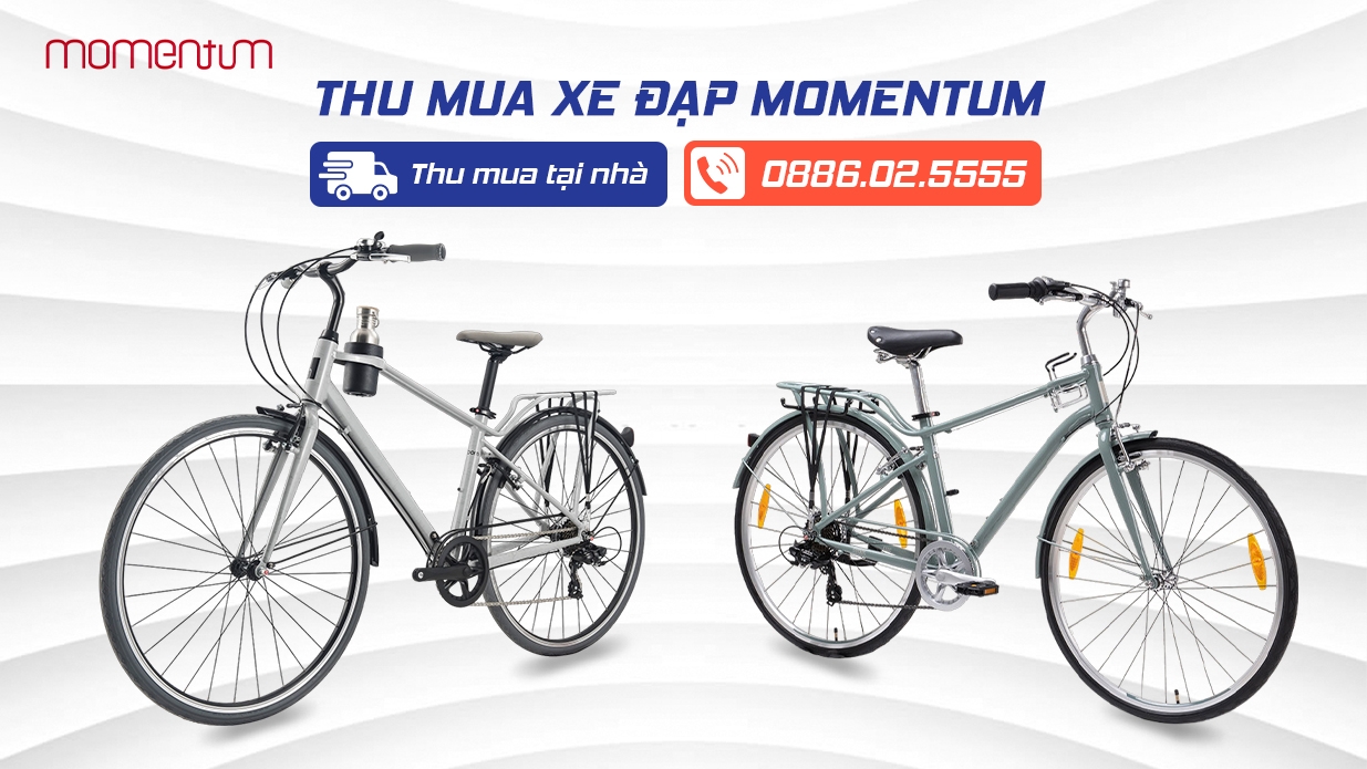Thu mua xe đạp momentum, thu mua giá cao