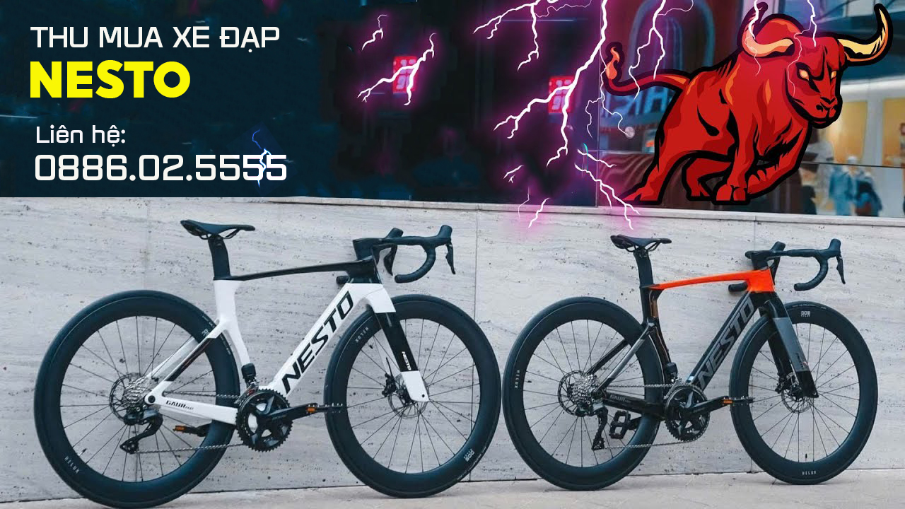 Thanh lý xe đạp Nesto