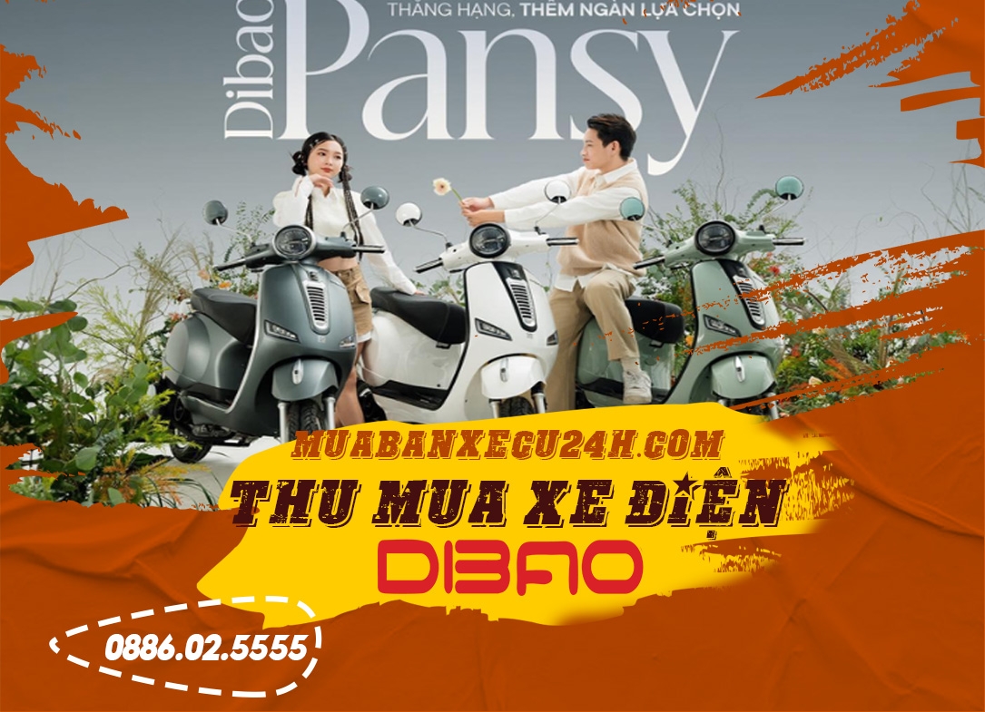 Thu mua xe điện Dibao cũ