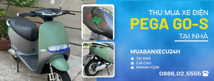 Thu mua xe điện Pega Go-S